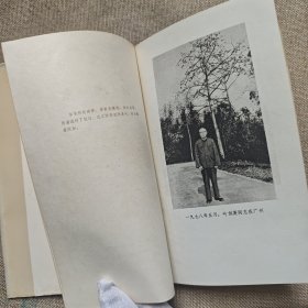 远望集