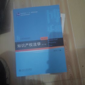 知识产权法学（第八版）21世纪法学规划教材 吴汉东著