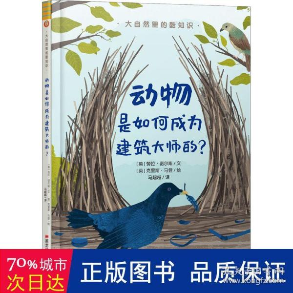 大自然里的酷知识：动物是如何成为建筑大师的？