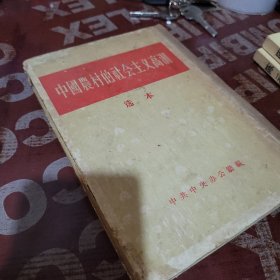 中国农村的社会主义高潮 选本（精装）