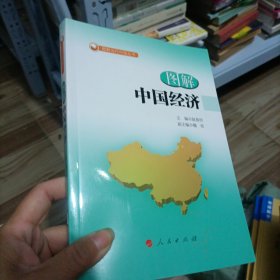 图解中国经济