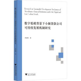 數(shù)字低碳背景下小額貸款公司可持續(xù)發(fā)展機(jī)制研究