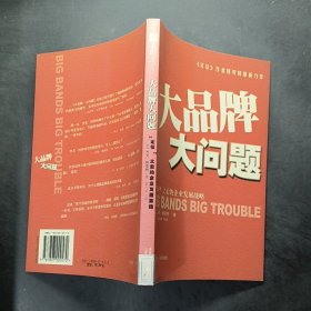 大品牌大问题