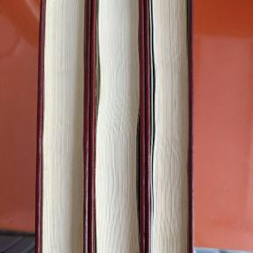 伊村市志（上中下）