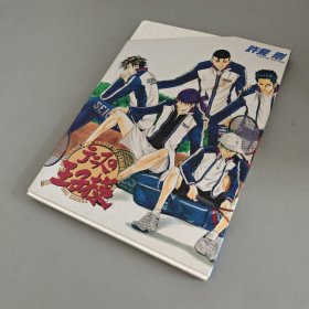 网球王子日文原版官方画册テニスの王子様30.5 ILLUSTRATIONS