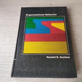 organizational behavior