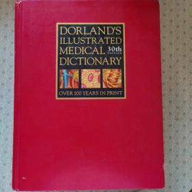 Dorland's Illustrated Medical Dictionary  30th Edition  多兰插图医学英语大辞典 第三十版带拇指索引  带光盘 包邮