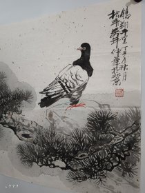 陈仲华画鸽子