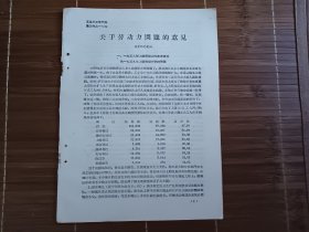 关于劳动力问题的意见