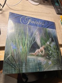 Fairies 英文原版 未拆封
