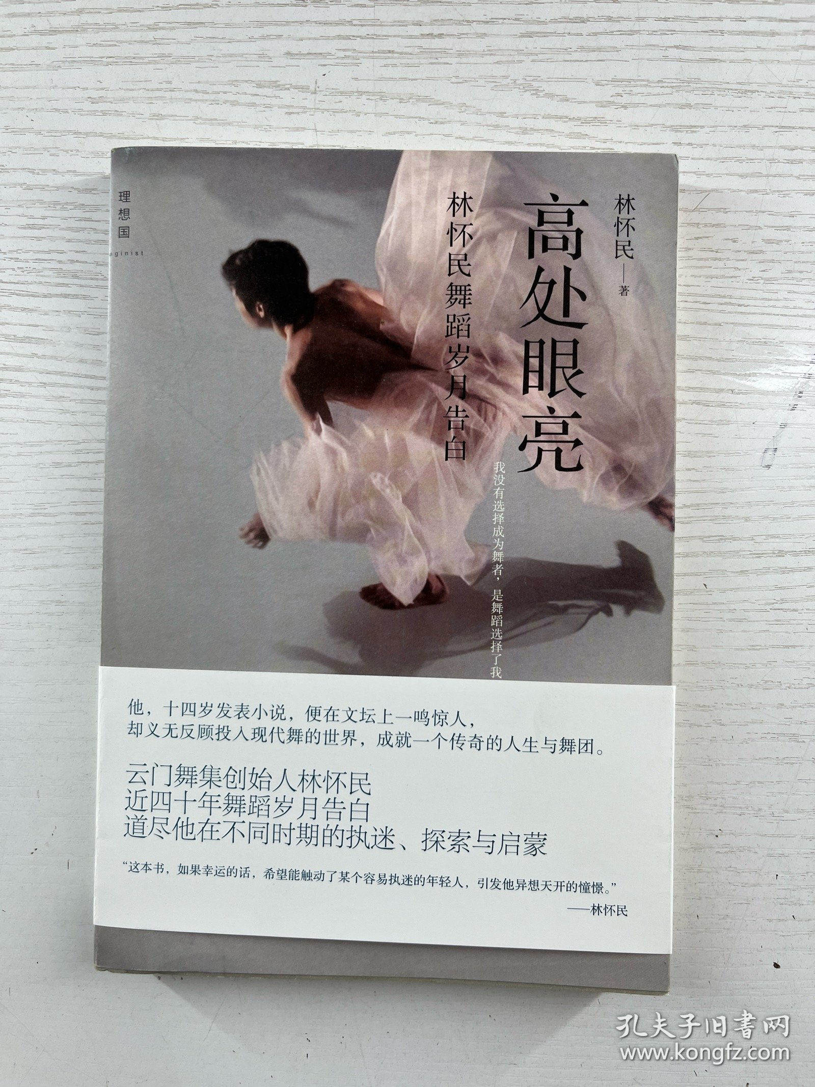 高处眼亮：林怀民舞蹈岁月告白（正版如图、内页干净）