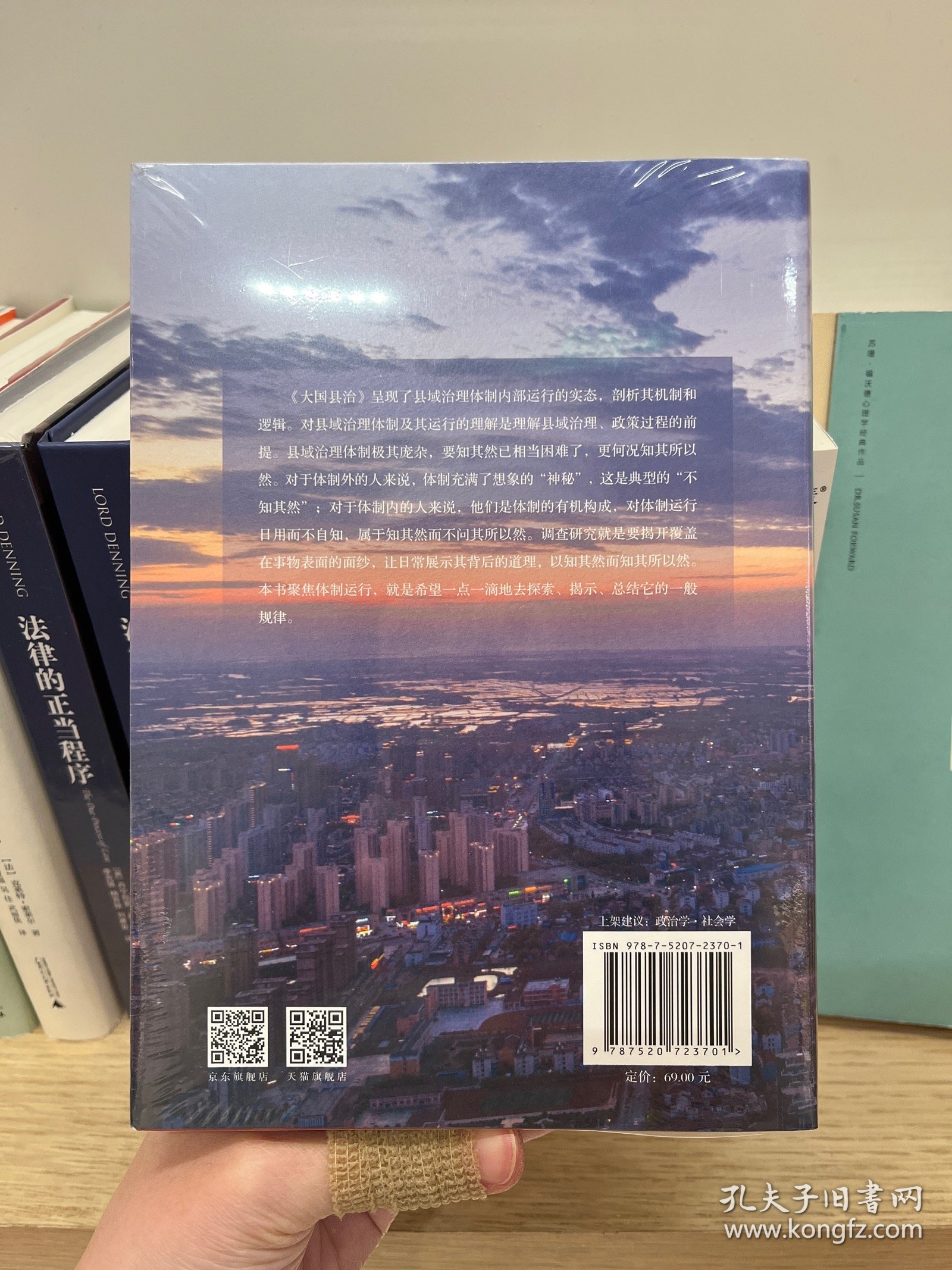 大国县治（继《县乡中国》后 畅销书作者杨华又一基层治理力作）
