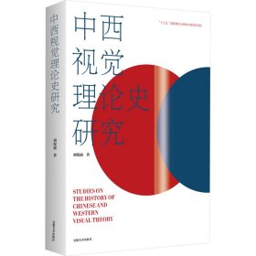 中西视觉理论史研究