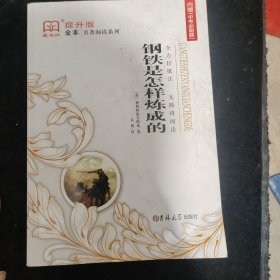 钢铁是怎样炼成的（全译本）