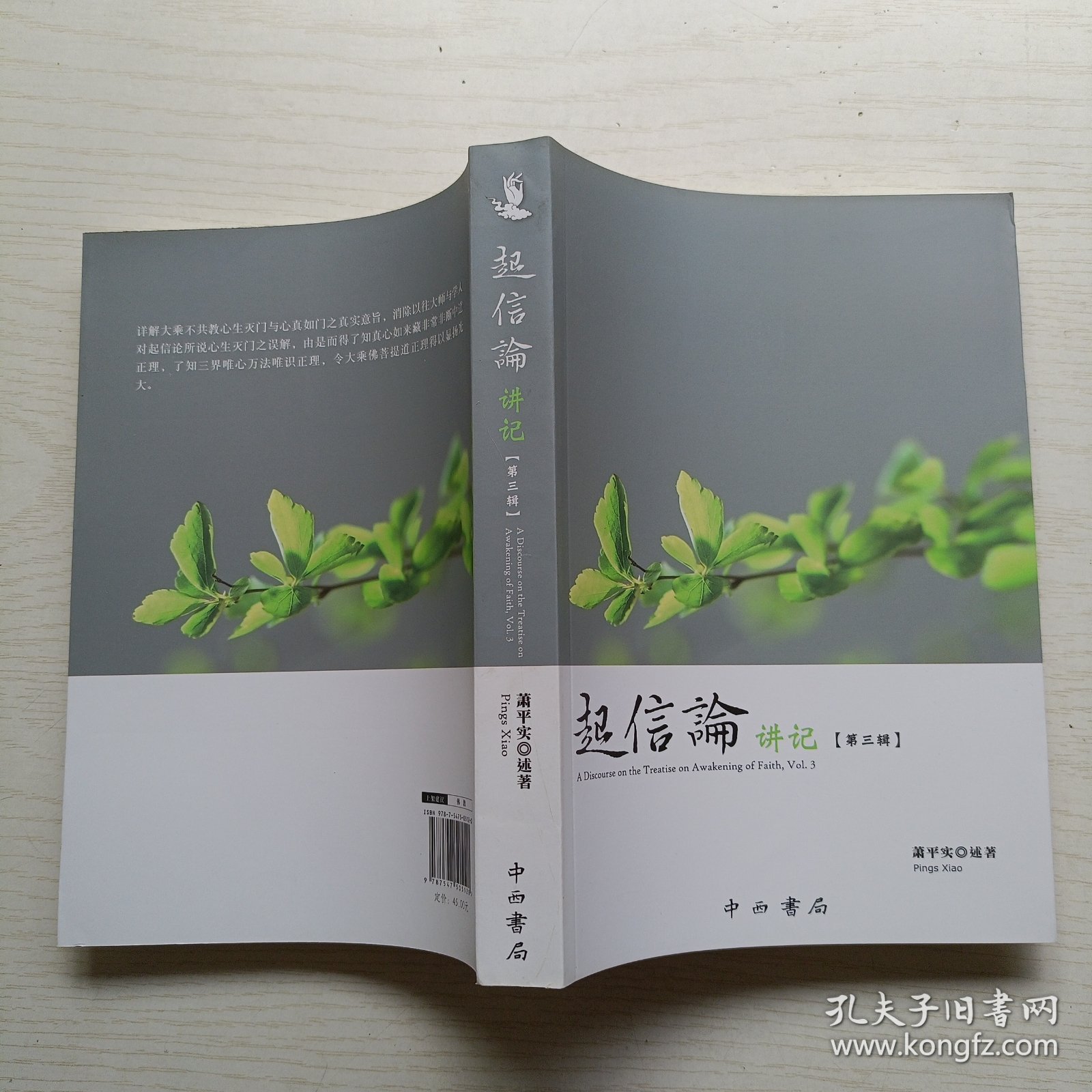 起信论讲记 第三辑