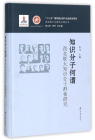 知识分子何谓(西北联大知识分子群体研究)(精)/西北联大与现代文明丛书