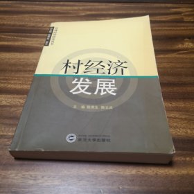 村经济发展