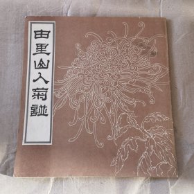 由里山人菊谱