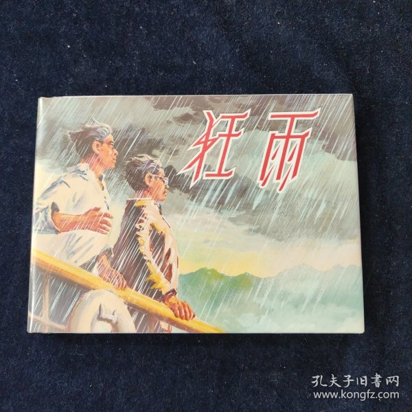 狂雨 上海人民美术32开大精