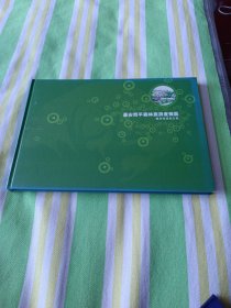 台安西平森林旅游度假区(概念性规划方案)8开精装本。