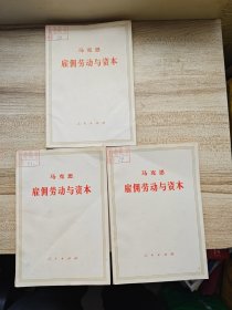 雇佣劳动与资本3本合售