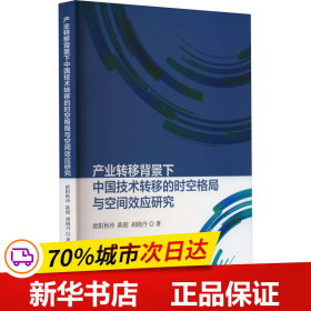 产业转移背景下中国技术转移的时空格局与空间效应研究