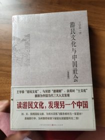 游民文化与中国社会（增修版）