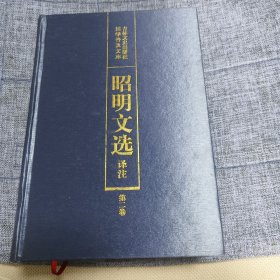 国学普及文库：昭明文选译注（第2卷）