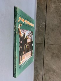 少林寺拳棒阐宗