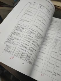 东北师范大学硕士学位论文：汉代画像砖石上西王母图像的区域比较研究