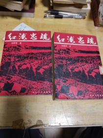 红海忠魂(上，下)两册