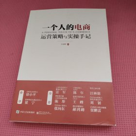 一个人的电商：运营策略与实操手记