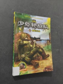少年特战队