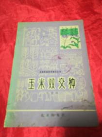 玉米雙交種