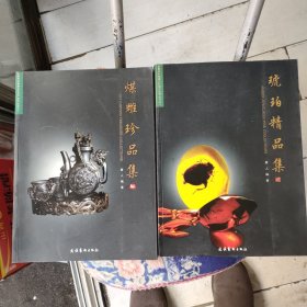 《煤雕珍品集》《琥珀精品集》