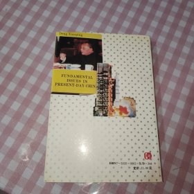 总设计师