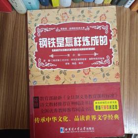 钢铁是怎样炼成的  新课标经典文库