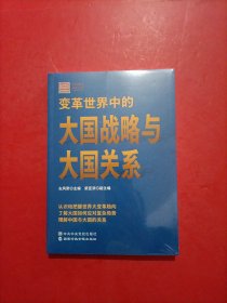 变革世界中的大国战略与大国关系 未拆封