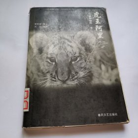 虎王阿里