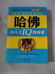 哈佛小天才IQ智商课：和美国孩子一起提升智商