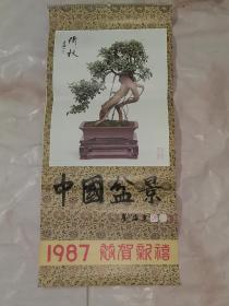 1987年挂历：中国盆景（13张全，刘海粟题签）