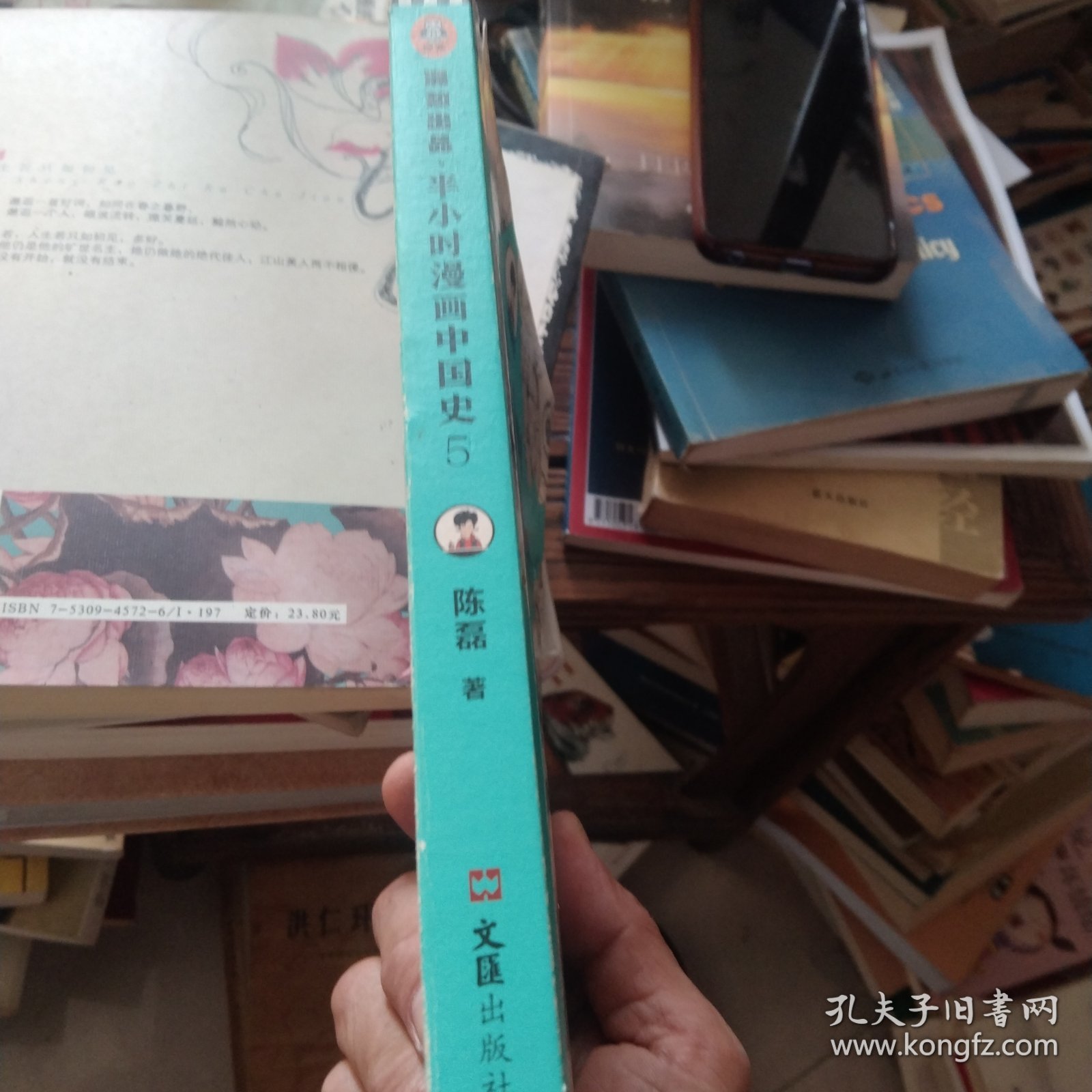 半小时漫画中国史5