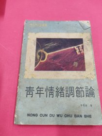 青年情緒調(diào)節(jié)論