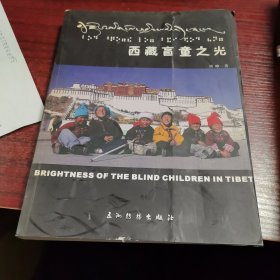 西藏盲童之光