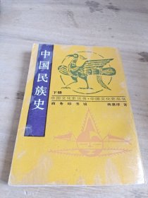 中国民族史 下册