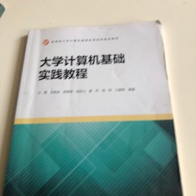 大学计算机基础实践教程