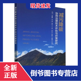 减污降碳协同治理技术评估与对策研究