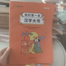 我的第一本汉字大书