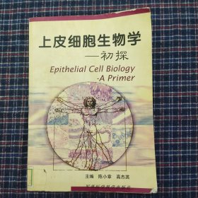 上皮细胞生物学初探