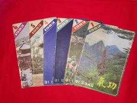 绝版杂志丨气功1983年1～6期 全（双月刊）